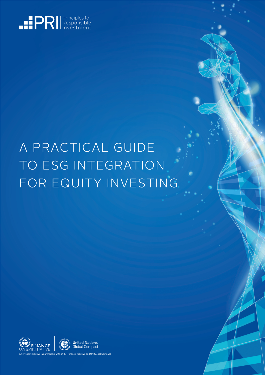 Practical Guide to Esg Integration for Equity Investing