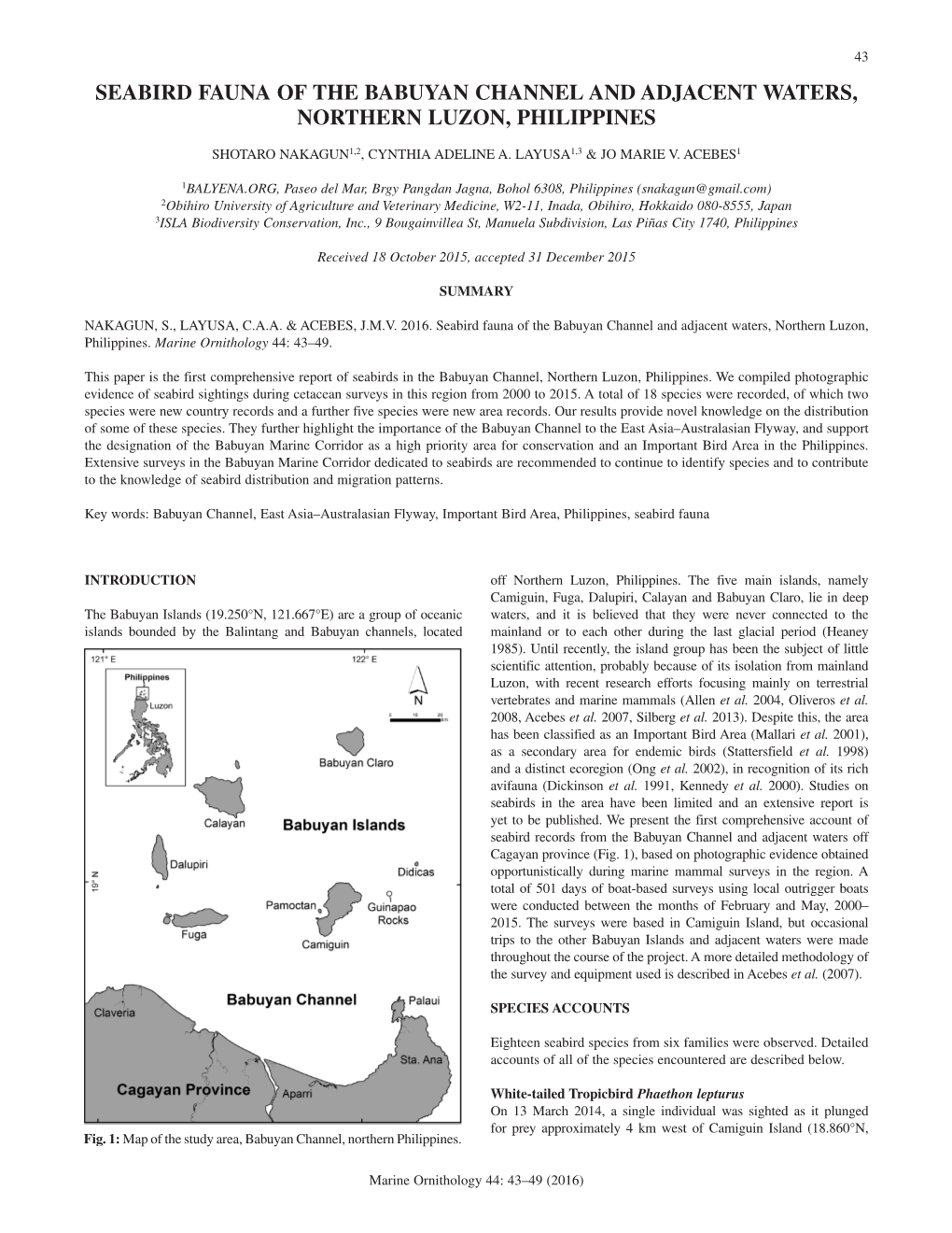 Seabird Fauna of the Babuyan Channel and Adjacent Waters, Northern Luzon, Philippines