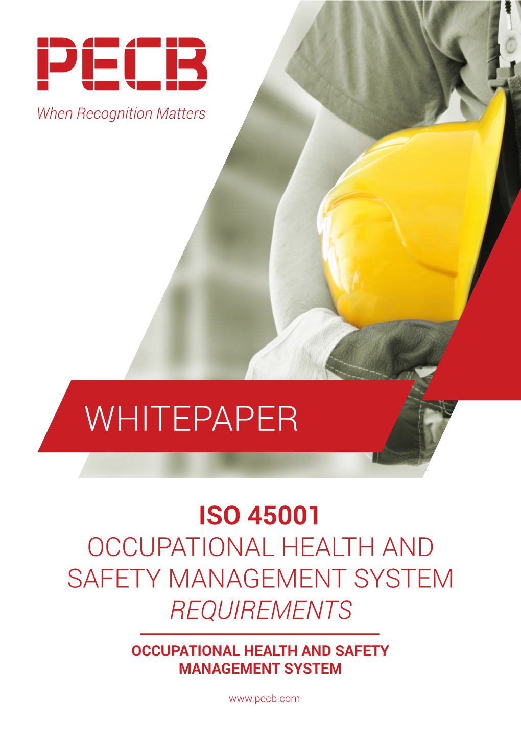 Iso 45001 Occupational Health and Safety Management System Requirements