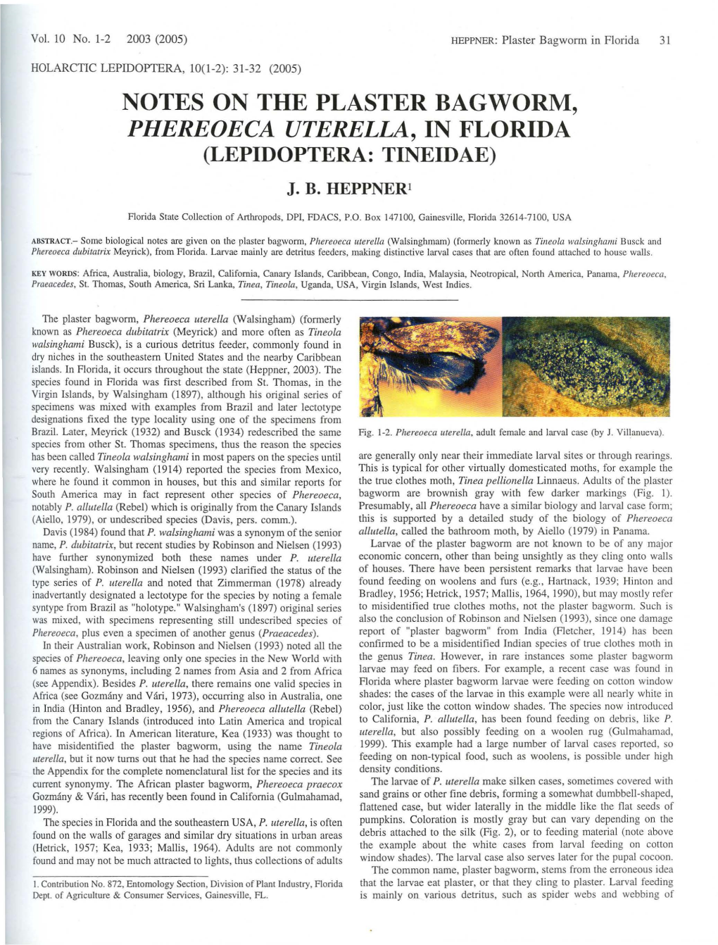 Notes on the Plaster Bagworm, Phereoeca Uterella, in Florida (Lepidoptera: Tineidae)