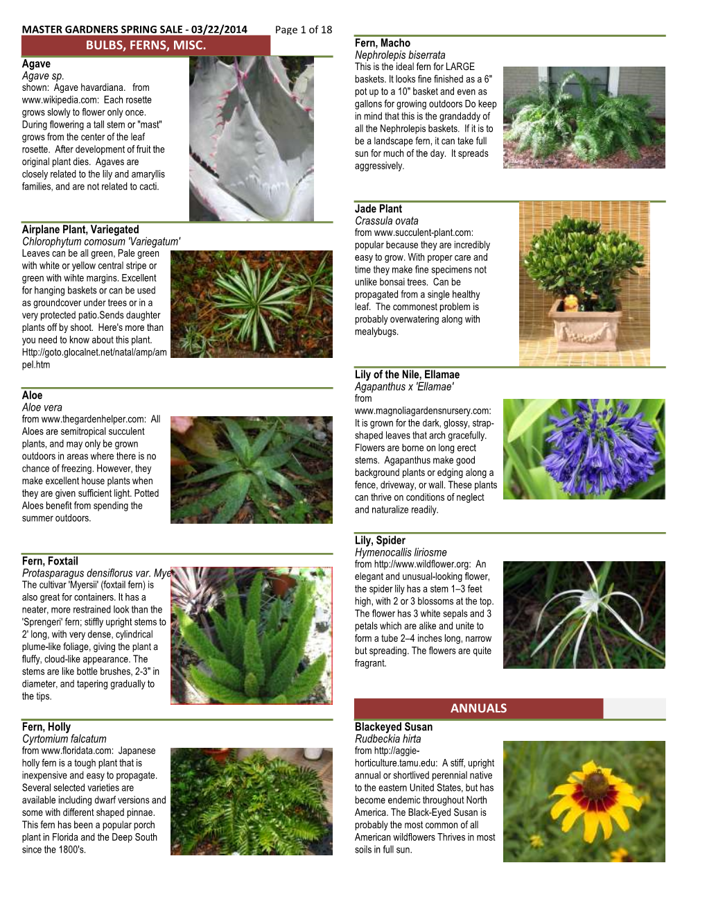 Bulbs, Ferns, Misc. Annuals