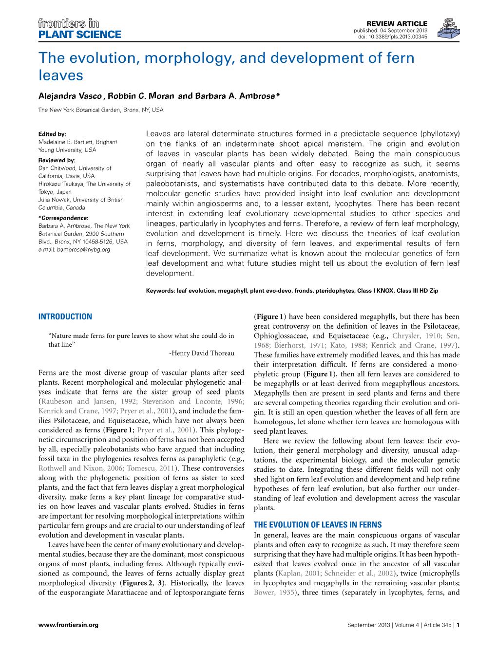 The Evolution, Morphology, and Development of Fern Leaves