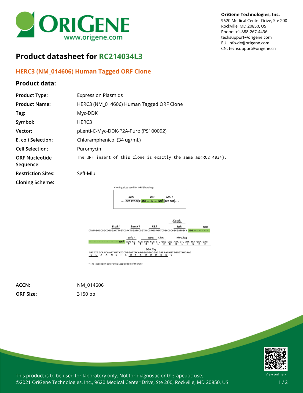 HERC3 (NM 014606) Human Tagged ORF Clone Product Data