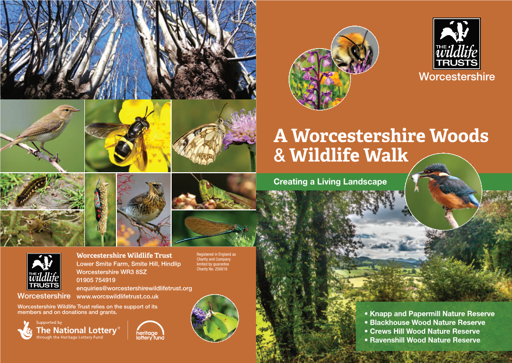 A Worcestershire Woods & Wildlife Walk