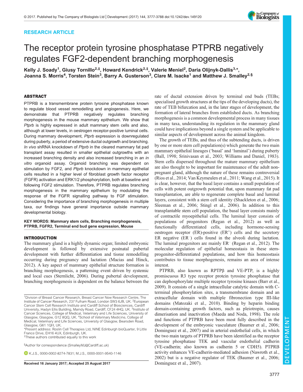 The Receptor Protein Tyrosine Phosphatase PTPRB Negatively Regulates FGF2-Dependent Branching Morphogenesis Kelly J