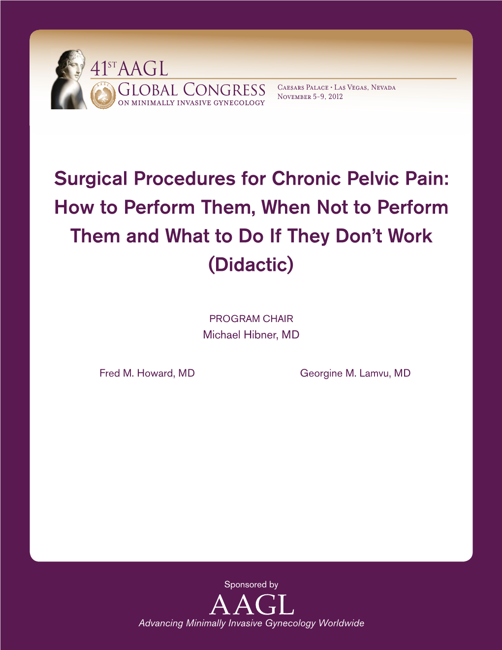Surgical Procedures for Chronic Pelvic Pain: How to Perform Them, When Not to Perform Them and What to Do If They Don’T Work (Didactic)