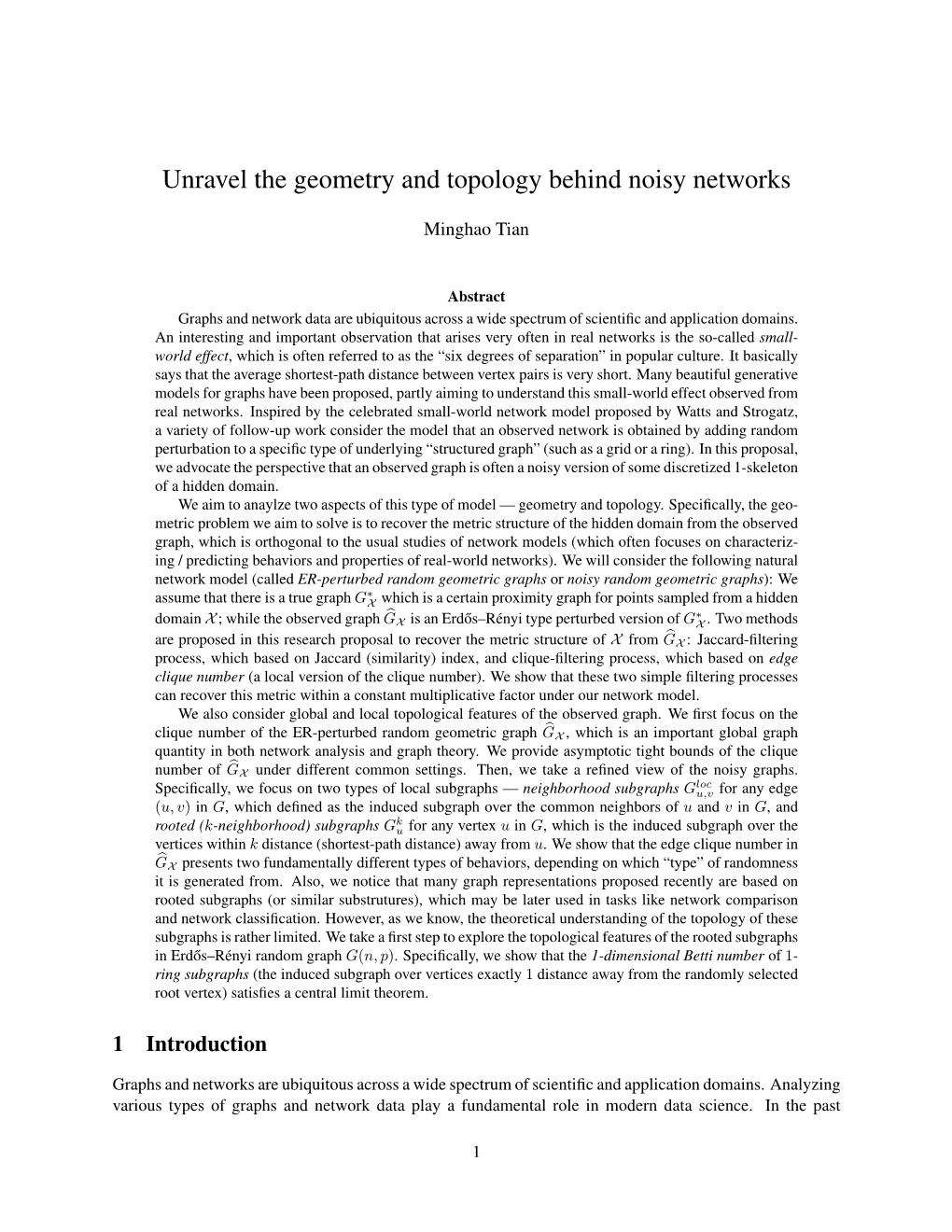 Unravel the Geometry and Topology Behind Noisy Networks