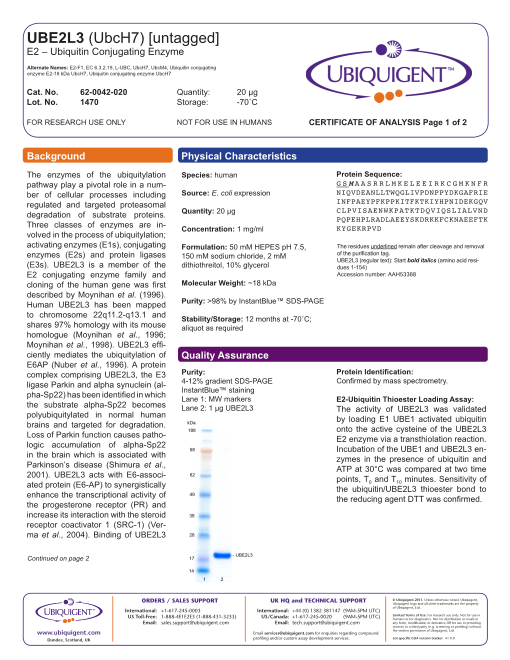 UBE2L3 (Ubch7) [Untagged] E2 – Ubiquitin Conjugating Enzyme