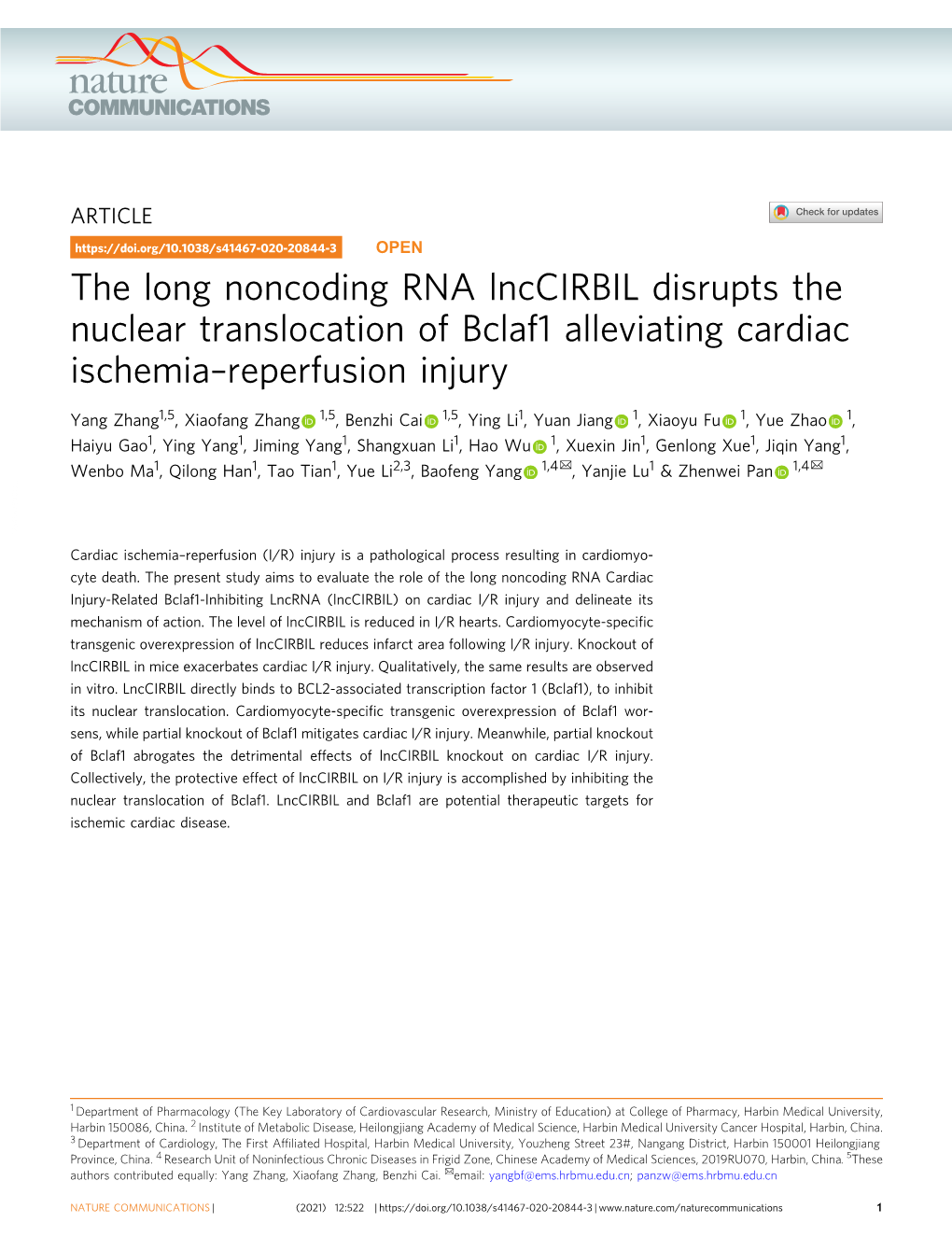 The Long Noncoding RNA Lnccirbil Disrupts the Nuclear Translocation of Bclaf1 Alleviating Cardiac Ischemia–Reperfusion Injury