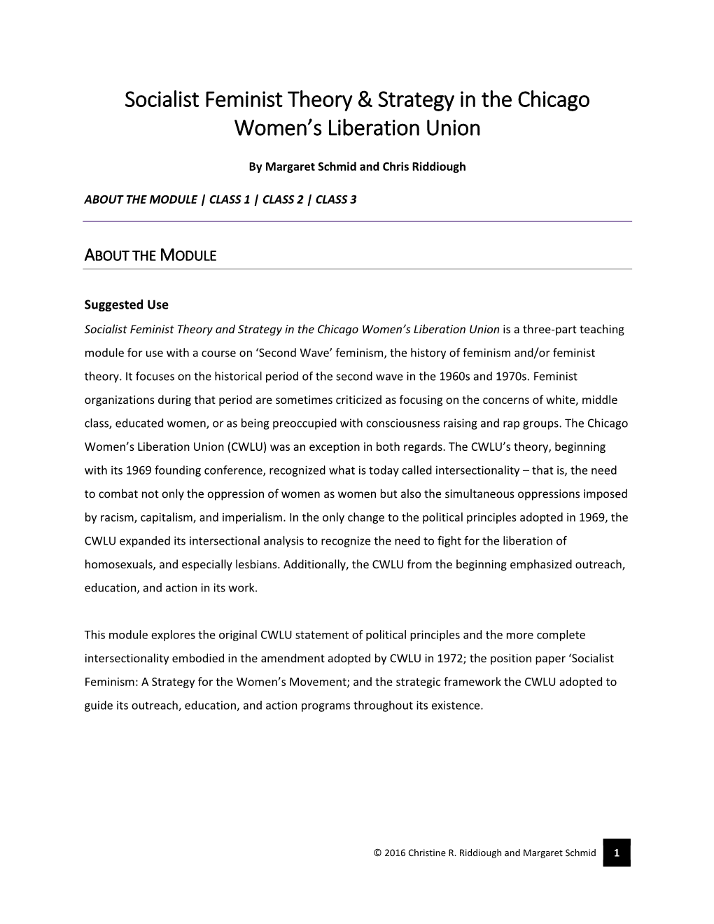 Socialist Feminist Theory & Strategy in the Chicago Women's Liberation