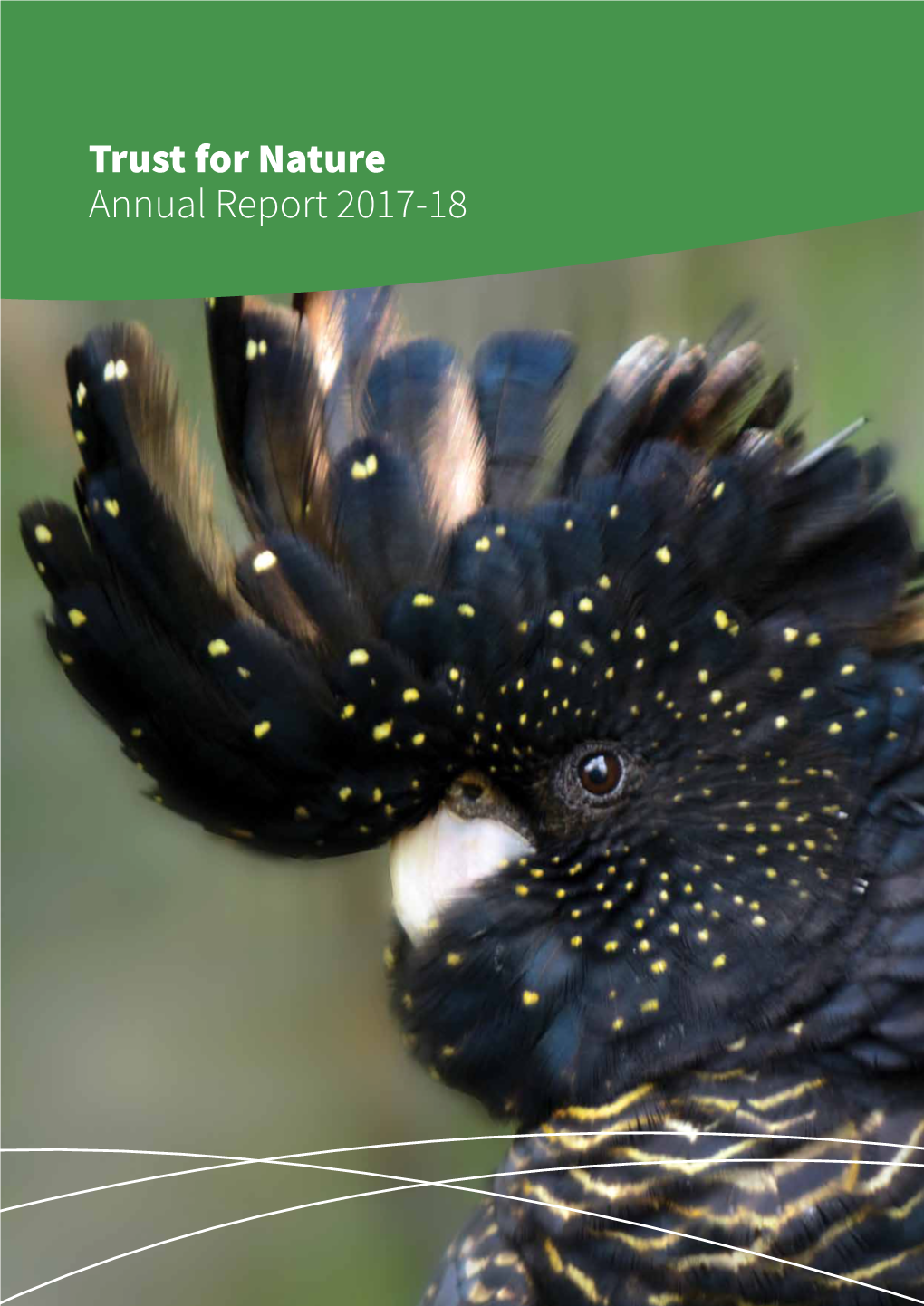 Trust for Nature Annual Report 2017-18 Cover Image: Detail of a Red-Tailed Black Cockatoo (Calyptorhynchus Banksii)