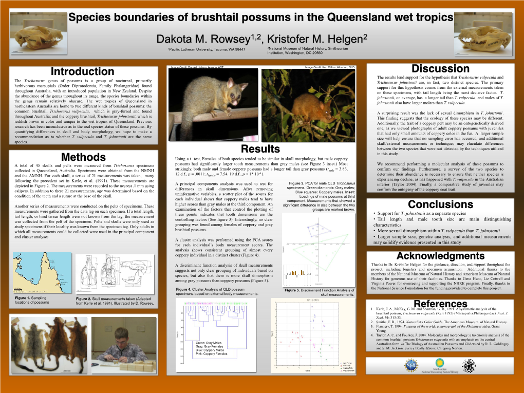 Species Boundaries of Brushtail Possums in the Queensland Wet Tropics Dakota M