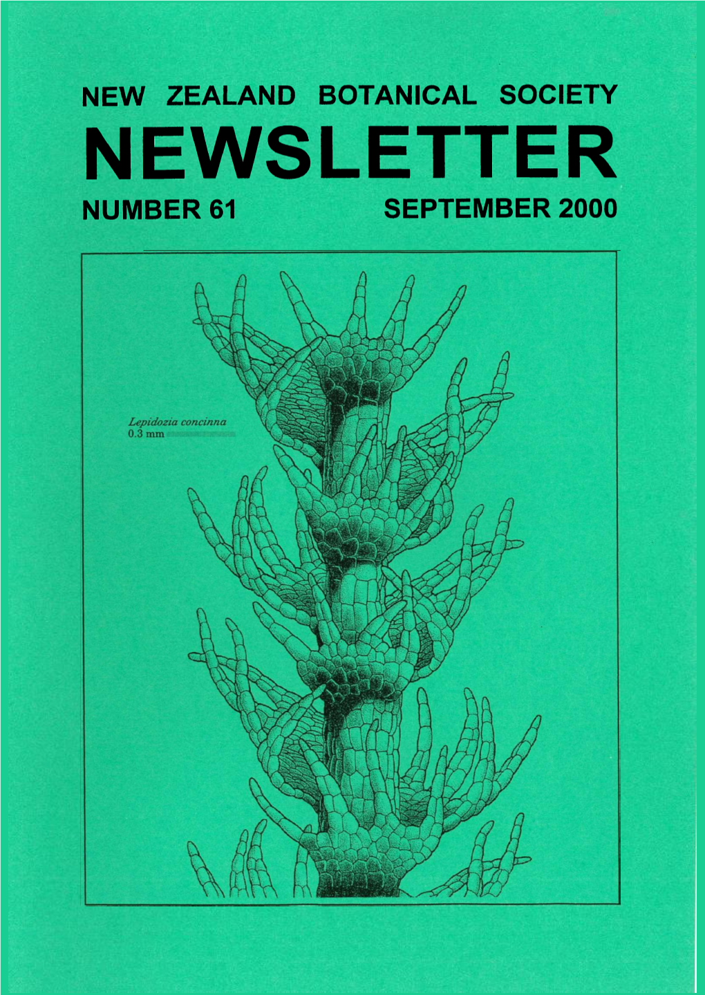 NEWSLETTER NUMBER 61 SEPTEMBER 2000 New Zealand Botanical Society