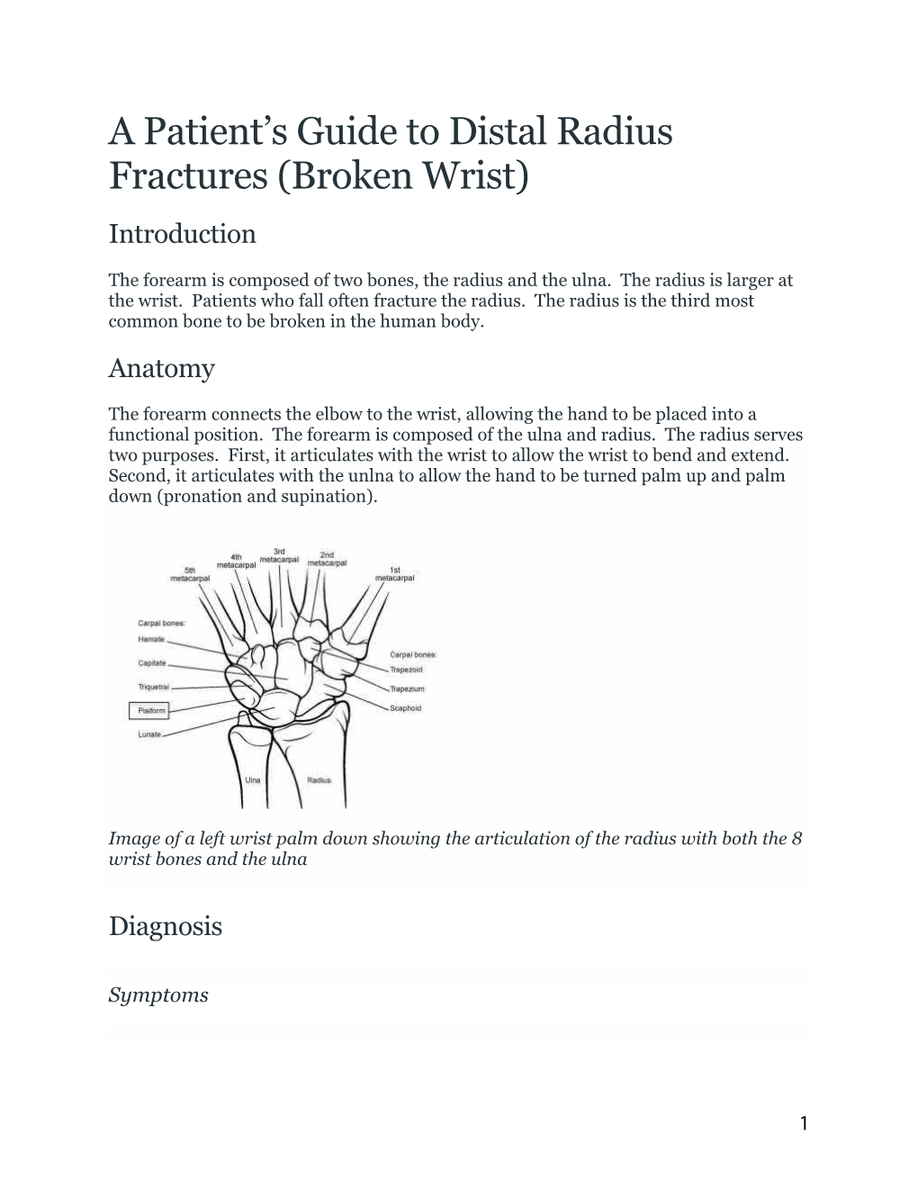 A Patient's Guide to Distal Radius Fractures