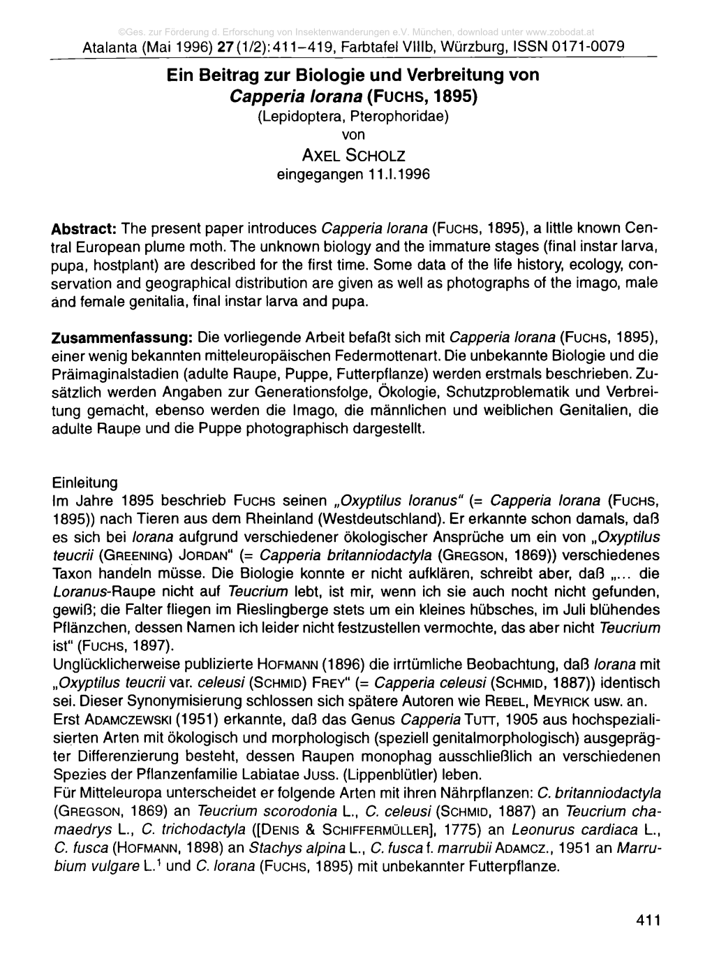Ein Beitrag Zur Biologie Und Verbreitung Von Capperia Lorana (Fuchs, 1895) (Lepidoptera, Pterophoridae) Von a X E L Sc H O L Z Eingegangen 11.1.1996