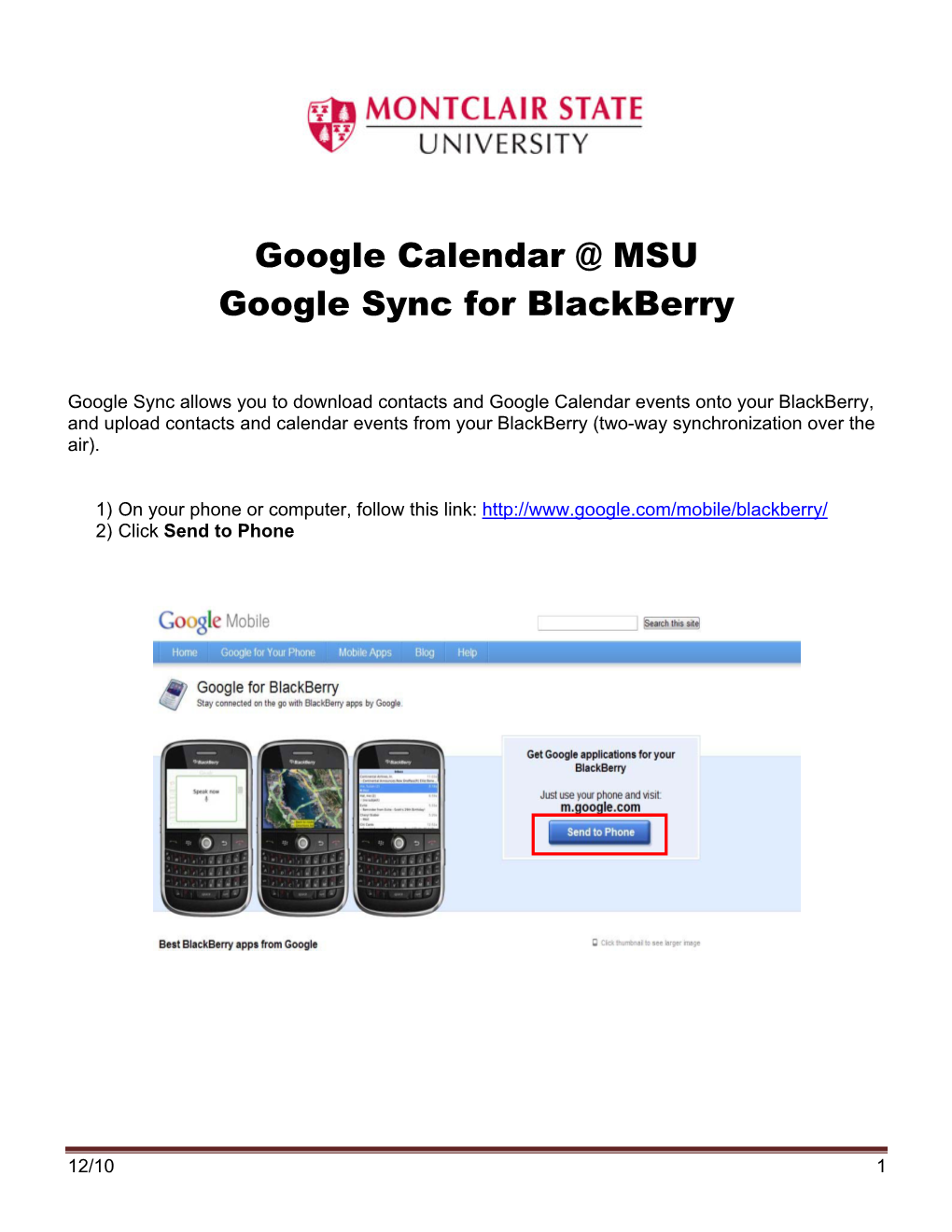 Google Calendar @ MSU Google Sync for Blackberry