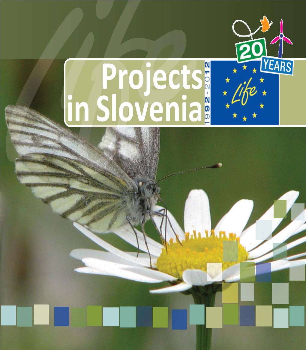 20 Years of Projects in Slovenia