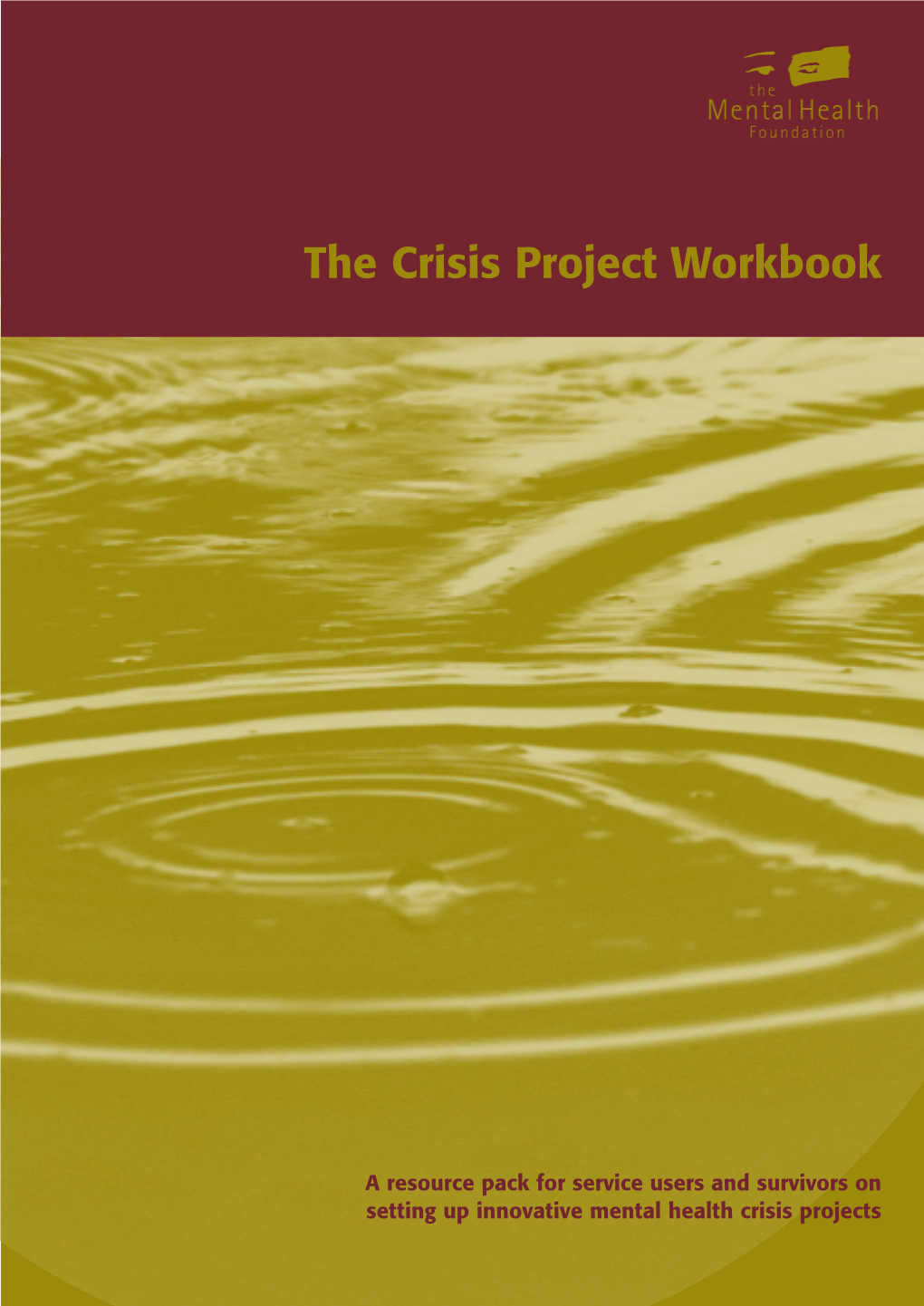 8057 Crisis Proj W'book