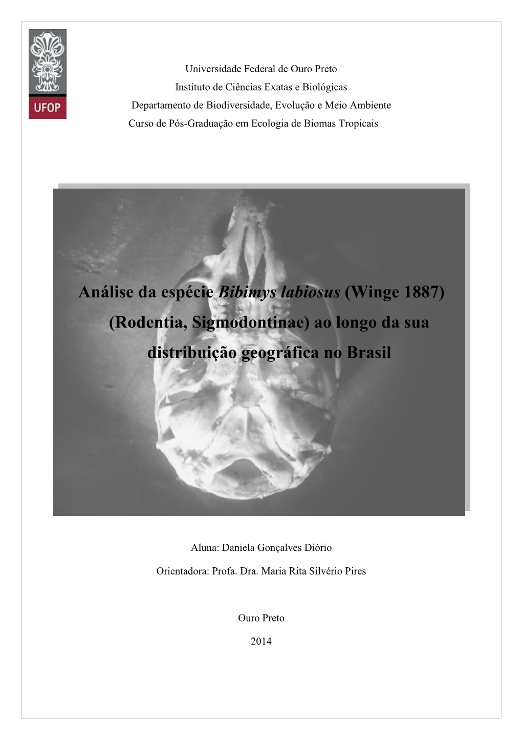 Análise Da Espécie Bibimys Labiosus (Winge 1887) (Rodentia, Sigmodontinae) Ao Longo Da Sua Distribuição Geográfica No Brasil