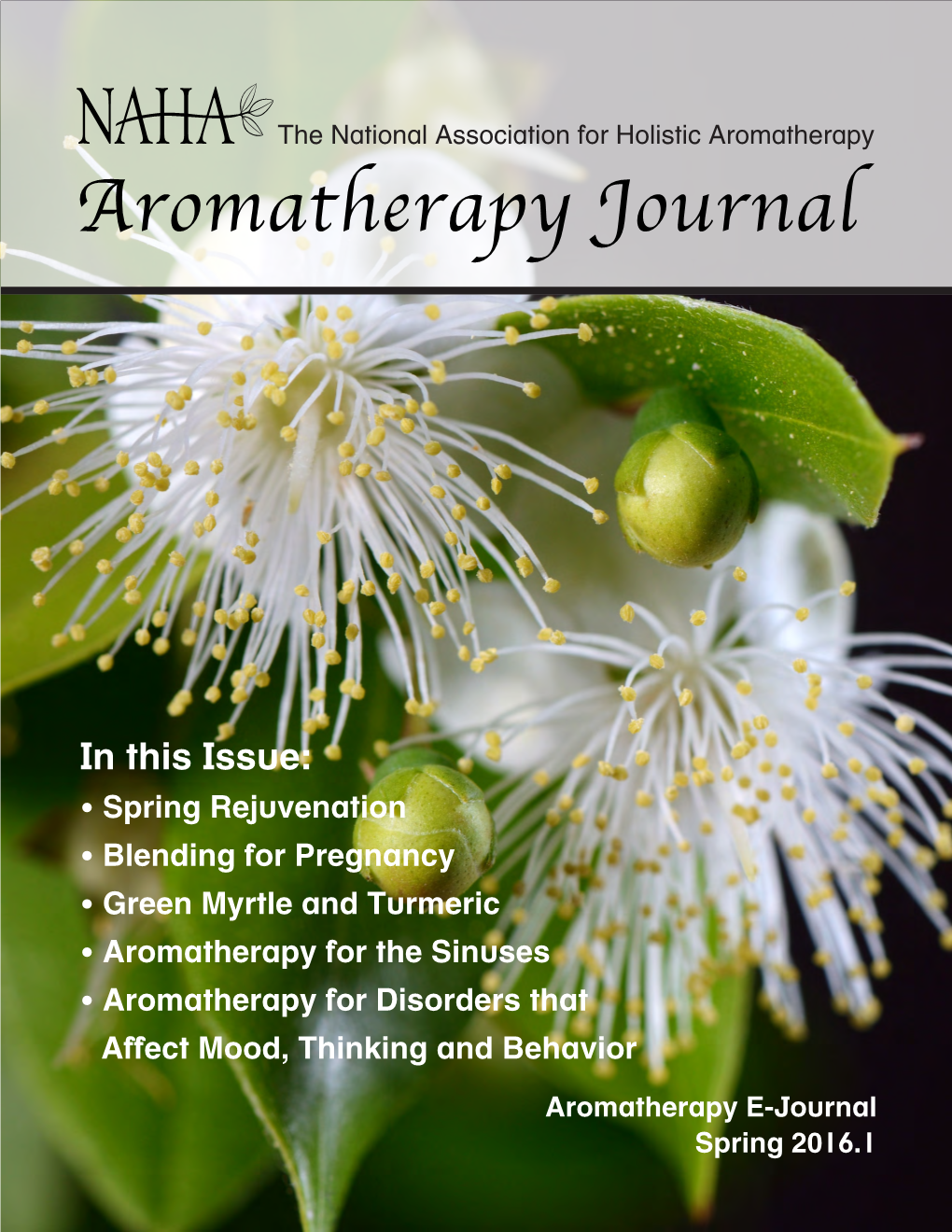 Aromatherapy Journal