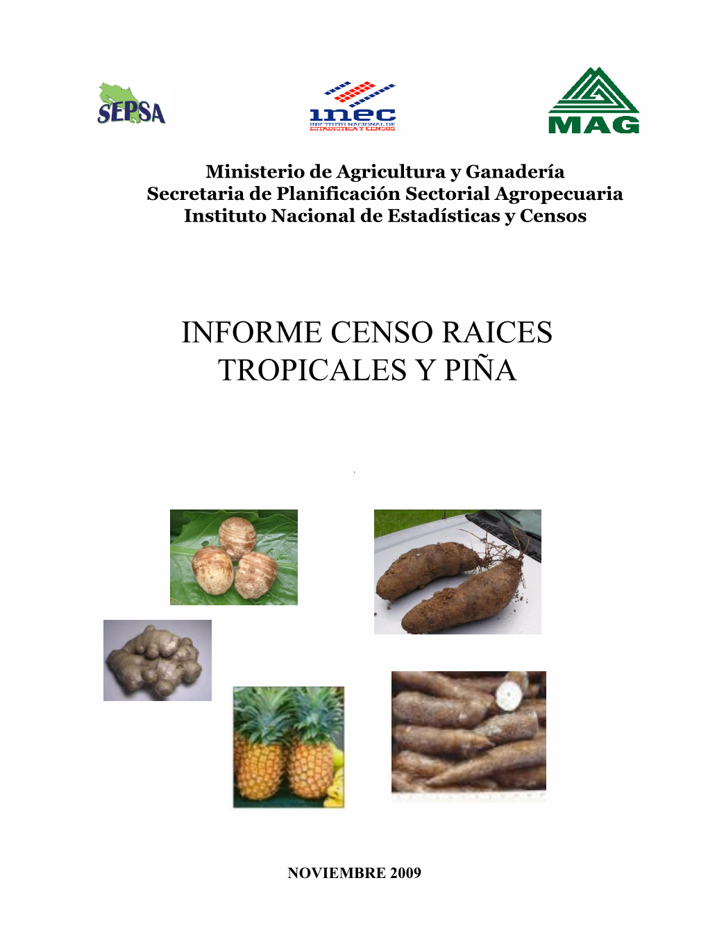 Informe Censo Raíces Tropicales Y Piña. 2009