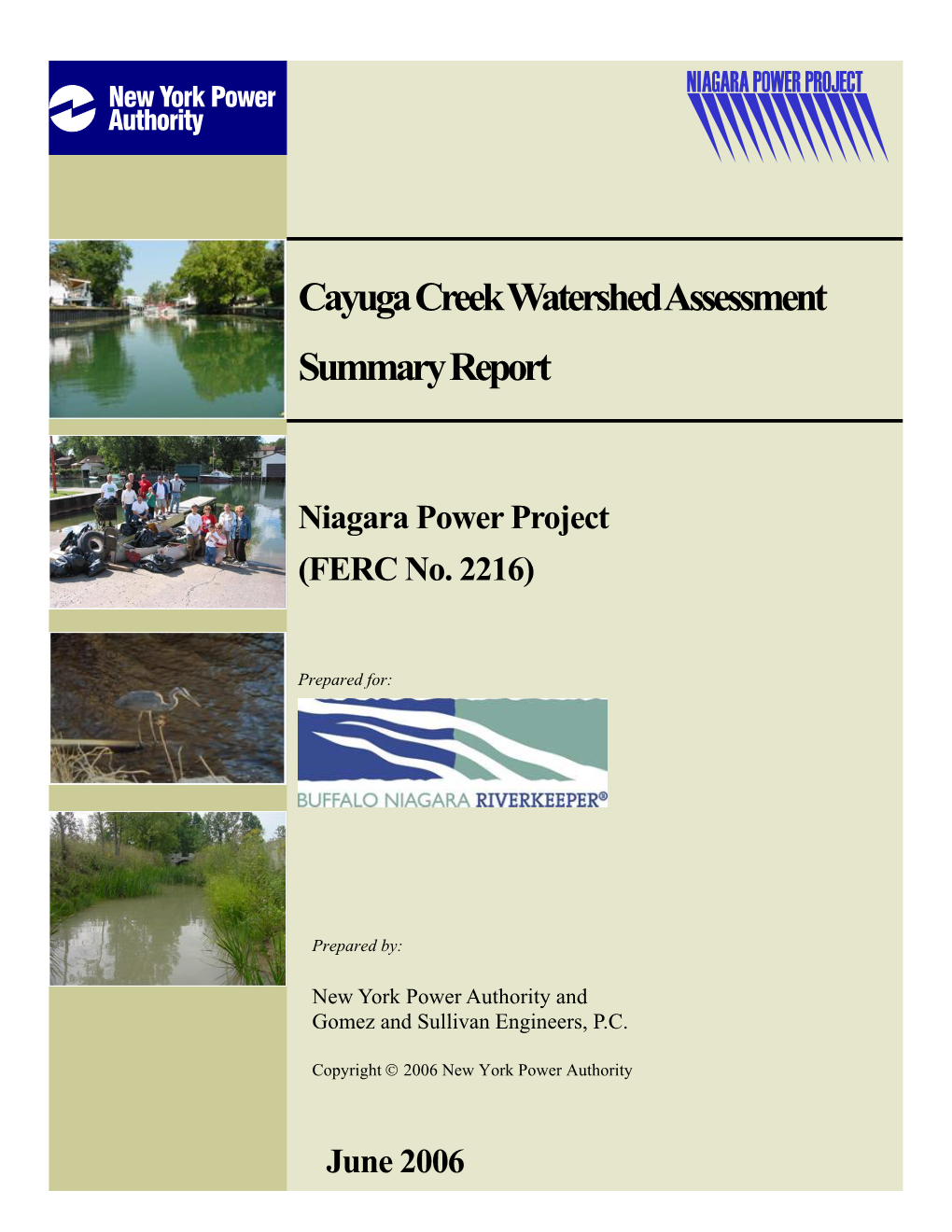 Cayuga Creek Watershed Assessment and Summary Report