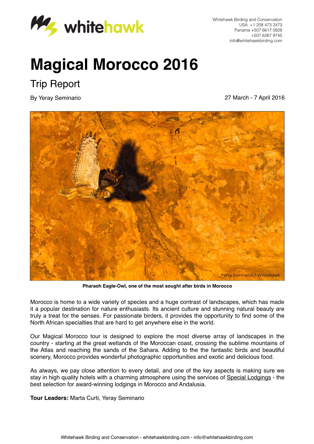 Magical Morocco 2016 Trip Report.Pages