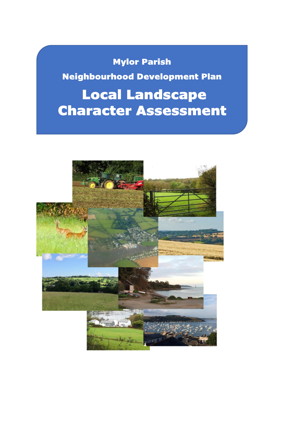 Local Landscape Character Assessment