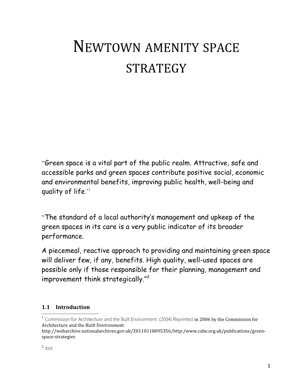 Newtown Amenity Space Strategy