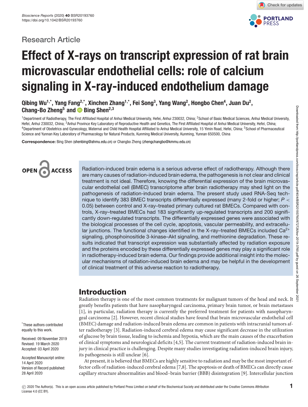 Effect of X-Rays on Transcript Expression of Rat Brain Microvascular Endothelial Cells: Role of Calcium Signaling in X-Ray-Induced Endothelium Damage