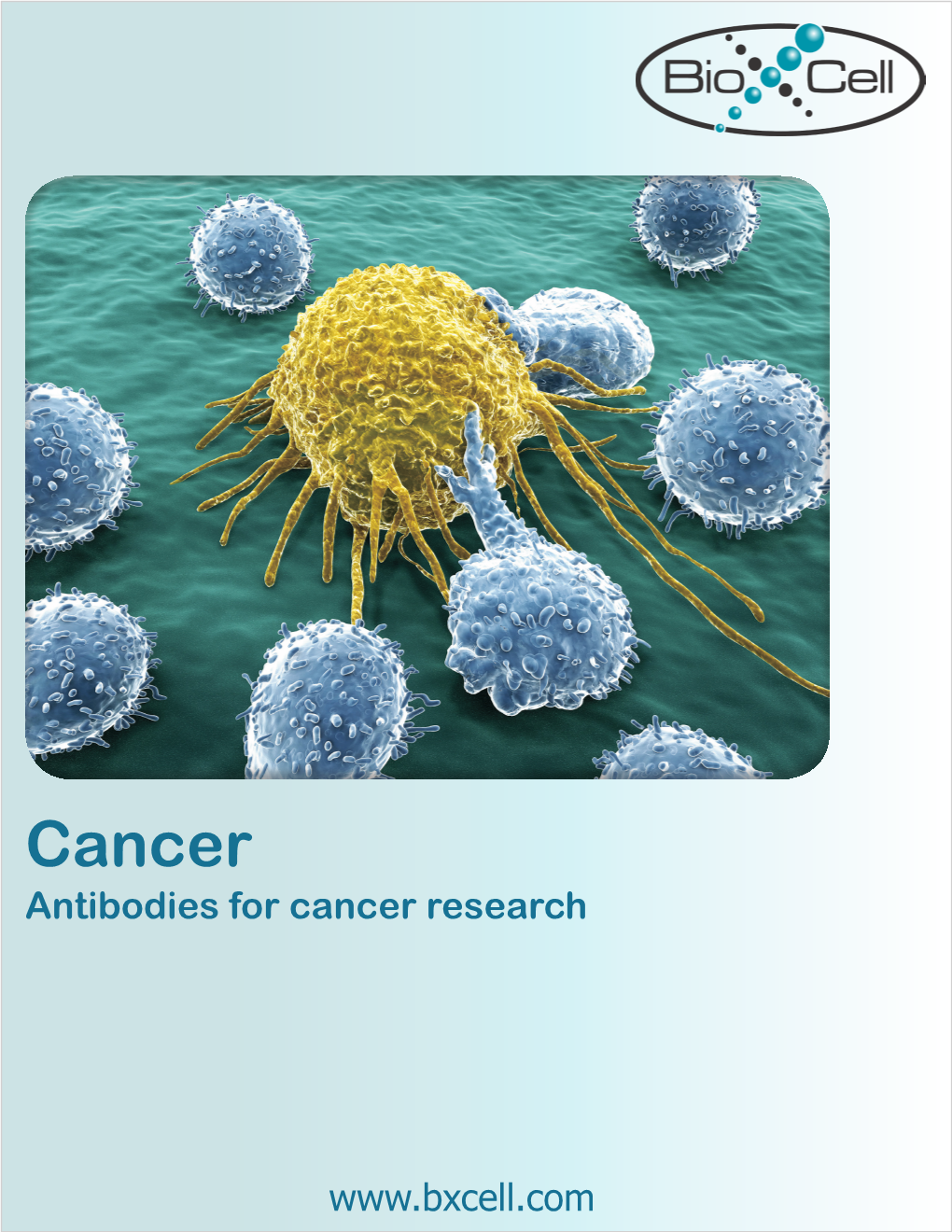 Cancer Research Antibodies Brochure