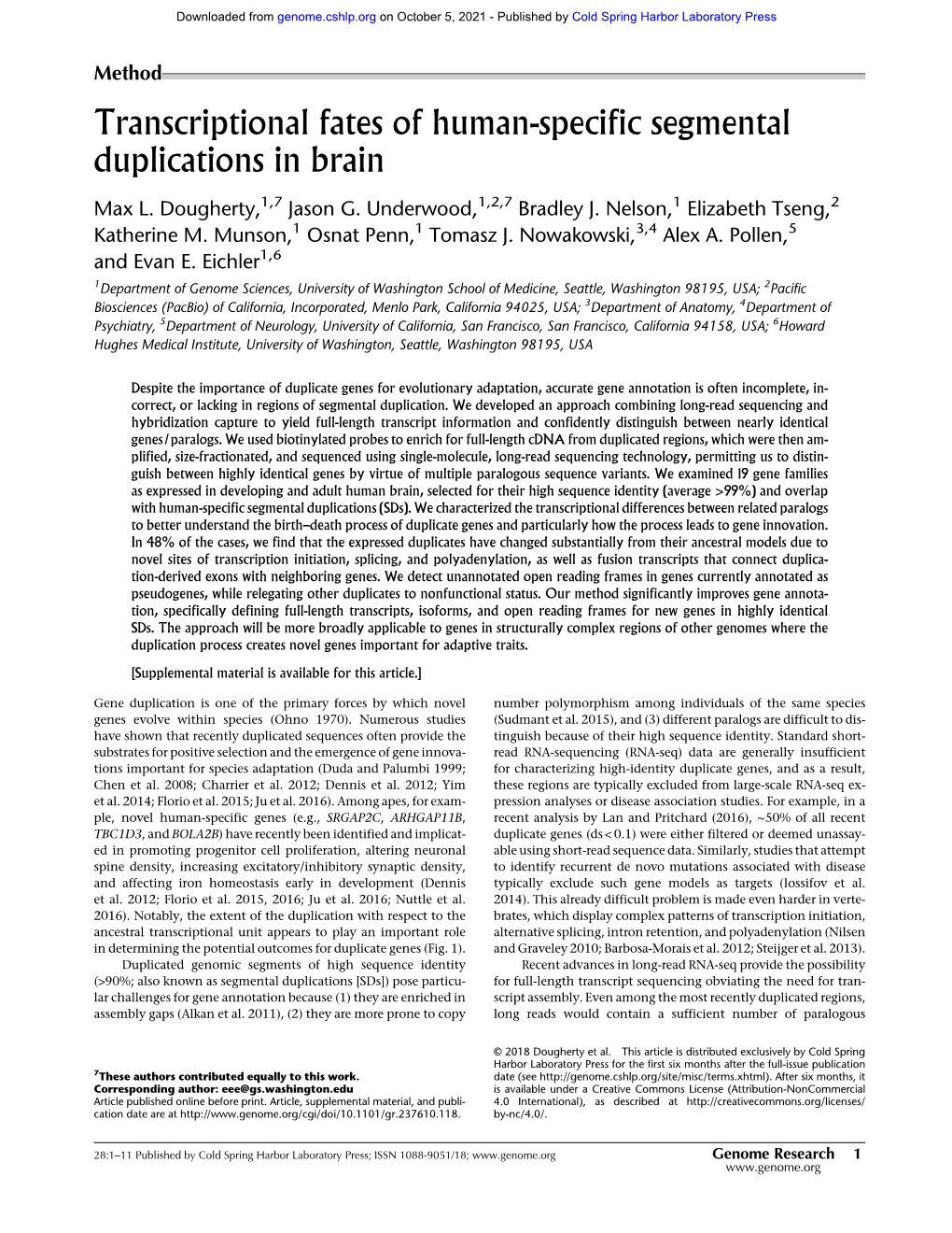 Transcriptional Fates of Human-Specific Segmental Duplications in Brain