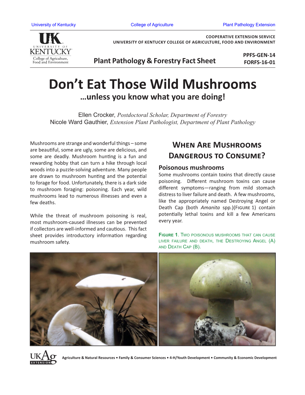 Don't Eat Those Wild Mushrooms