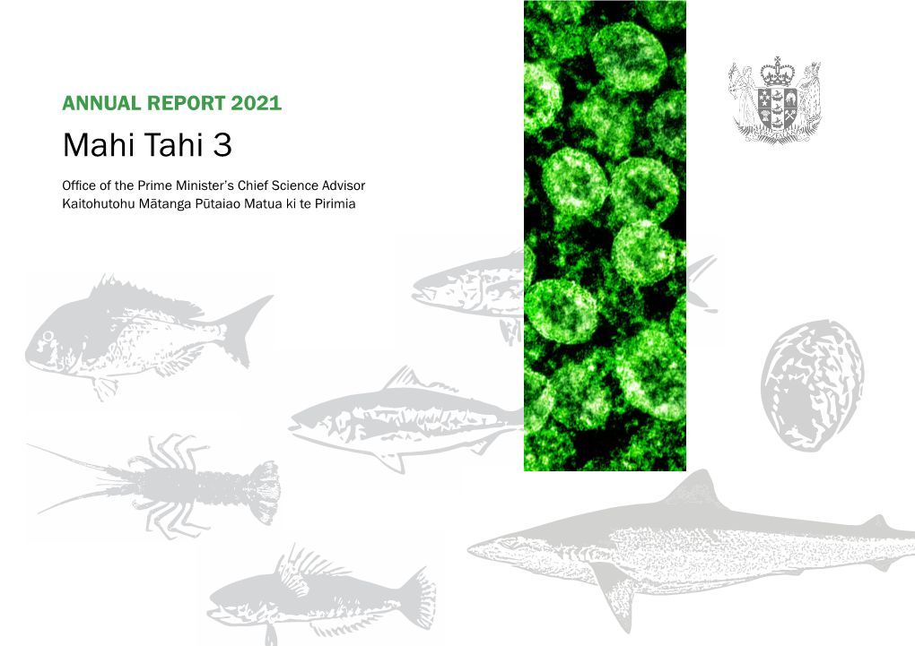 Download Mahi Tahi 3