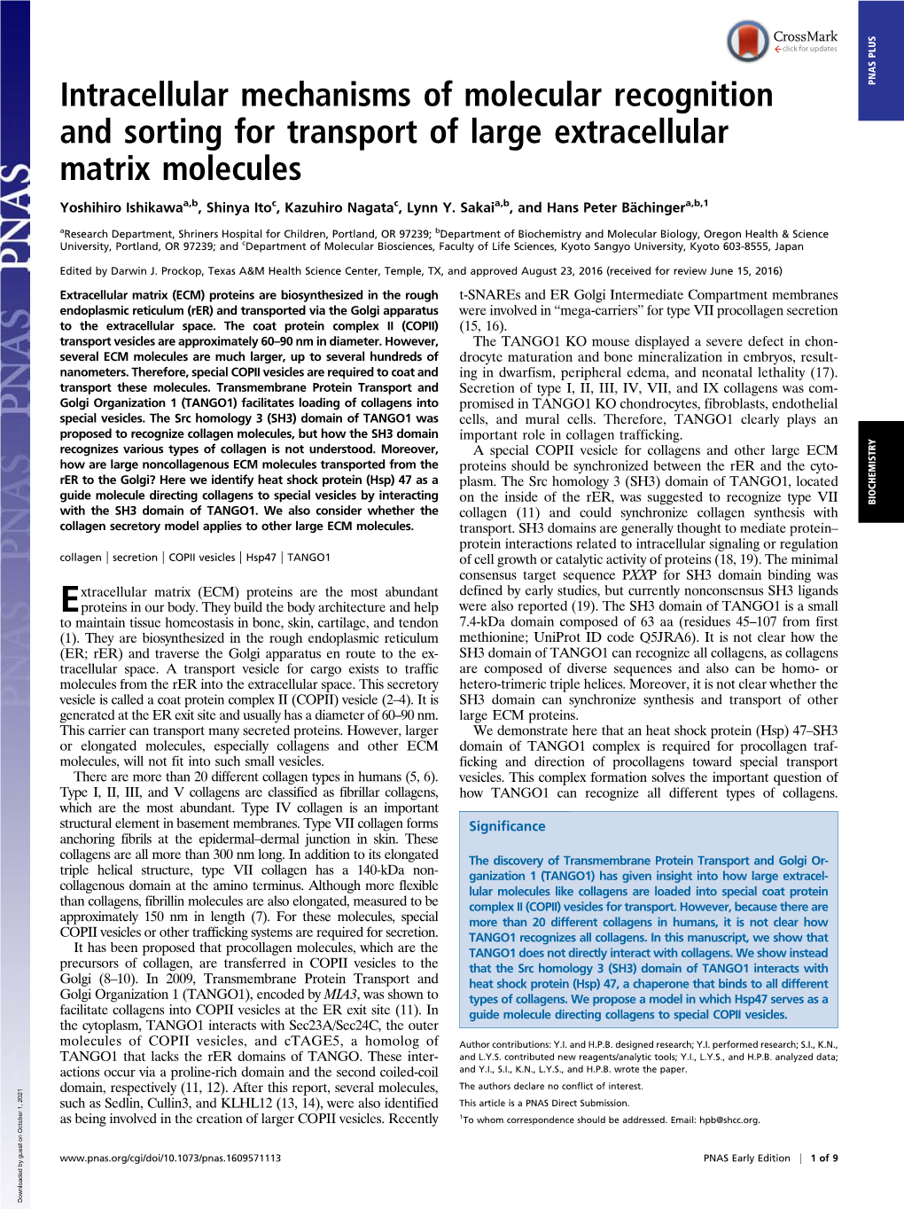 Intracellular Mechanisms of Molecular Recognition and Sorting for Transport