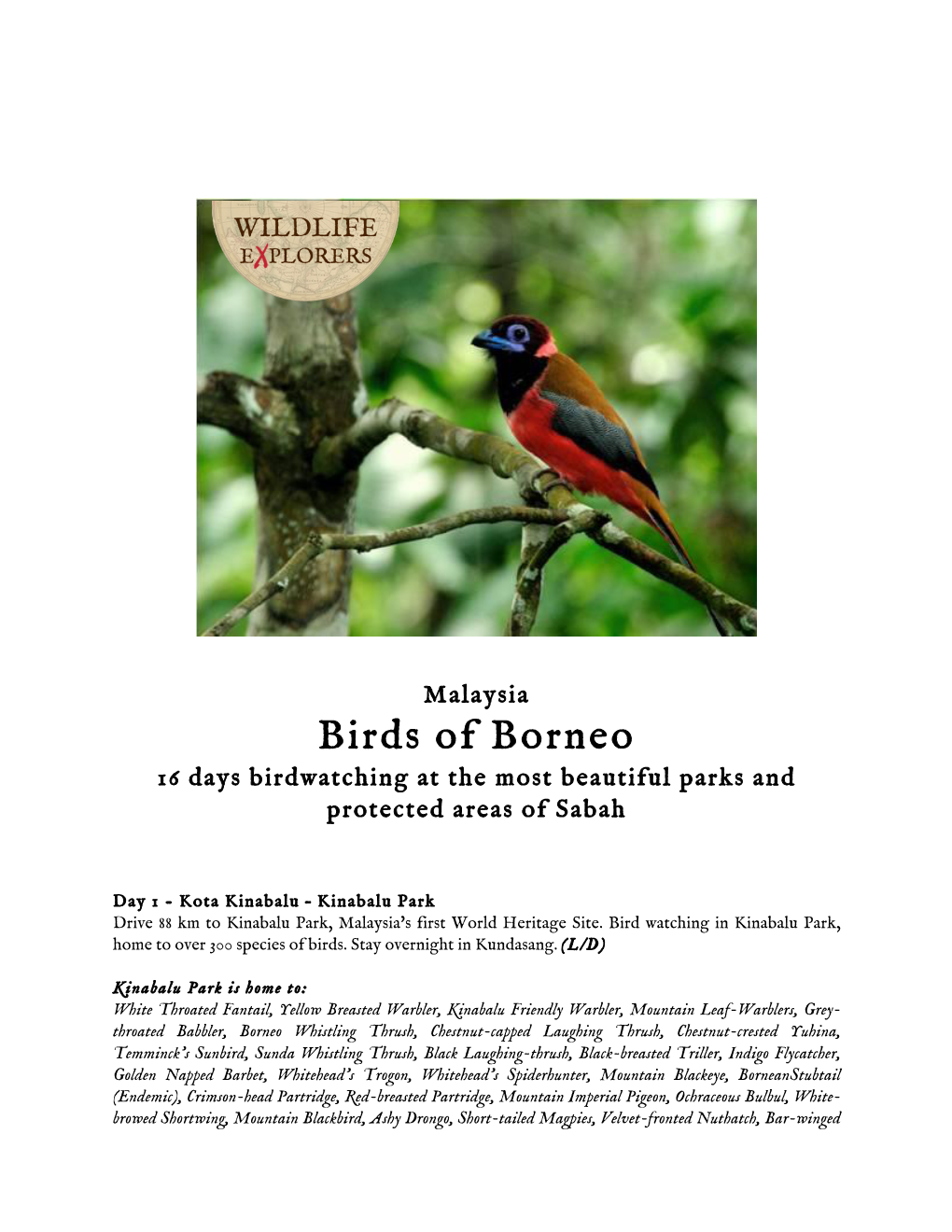 Birds of Borneo 16 Days Birdwatching at the Most Beautiful Parks and Protected Areas of Sabah