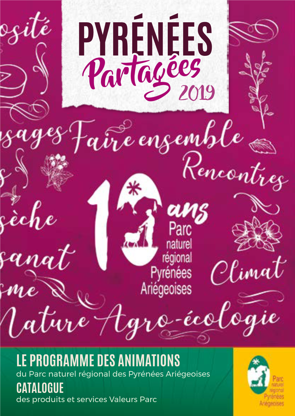 Le Programme Des Animations