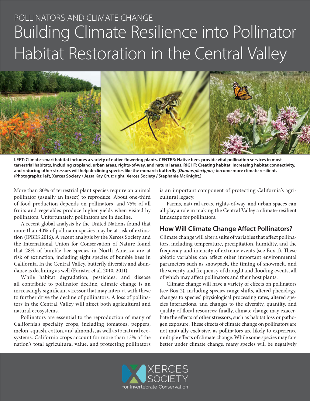 Building Climate Resilience Into Pollinator Habitat Restoration in the Central Valley