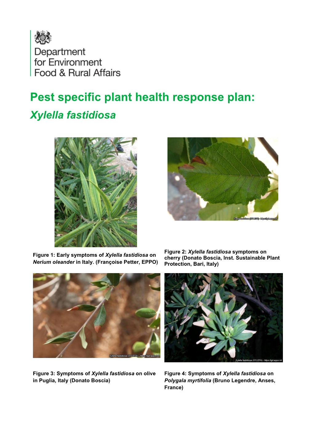 Pest Specific Plant Health Response Plan: Xylella Fastidiosa