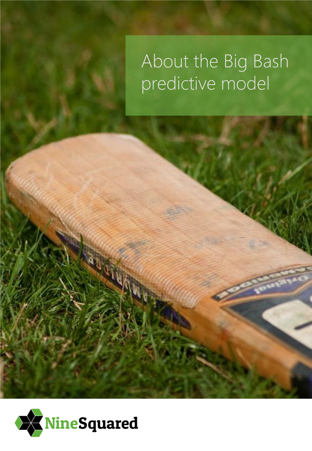 About the Big Bash Predictive Model About the Big Bash Predictive Model