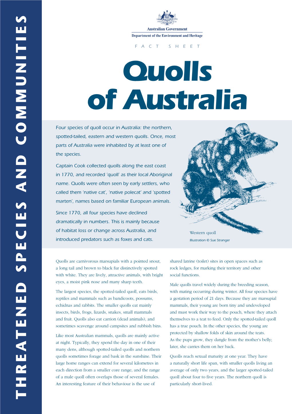 Quolls of Australia