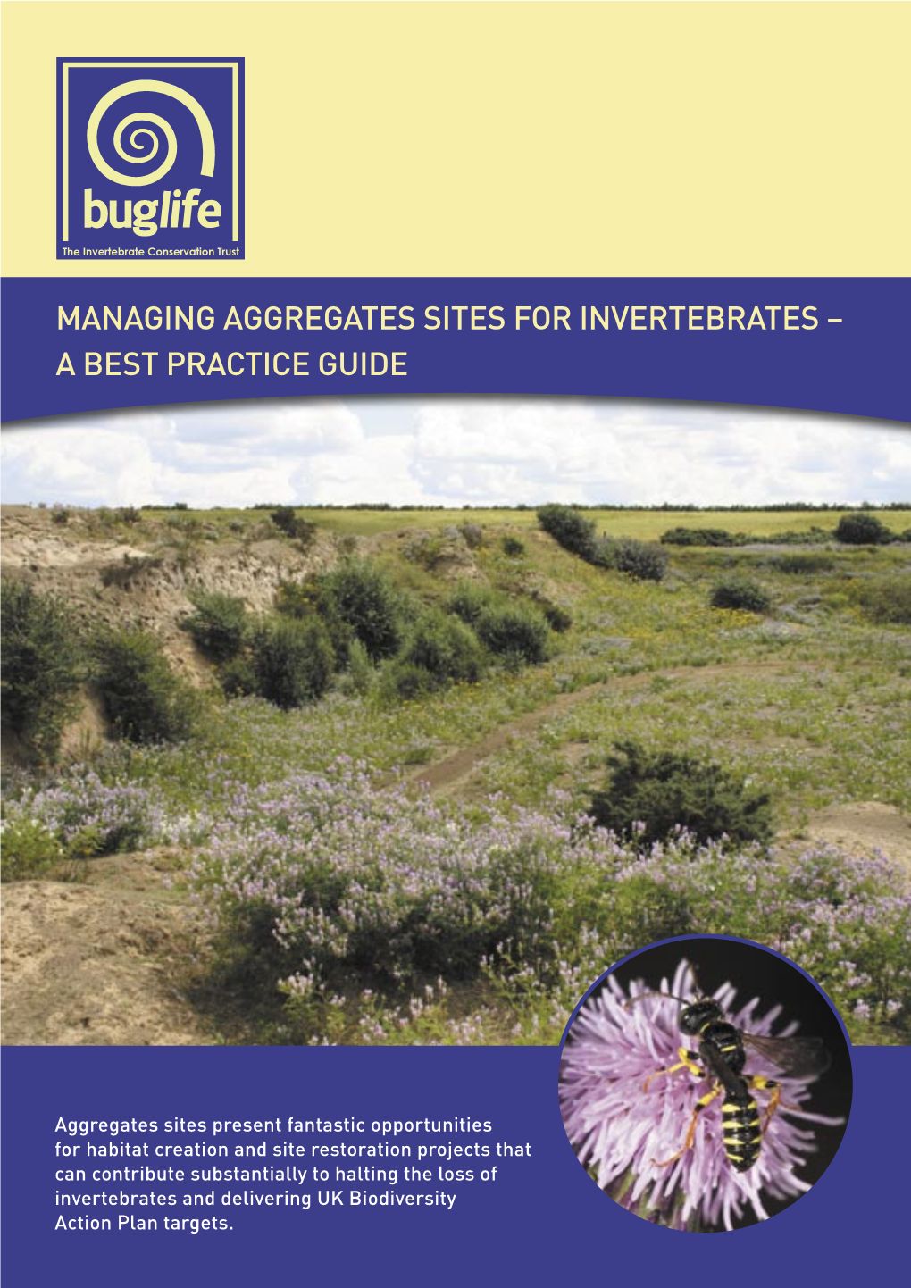 Managing Aggregates Sites for Invertebrates – a Best Practice Guide