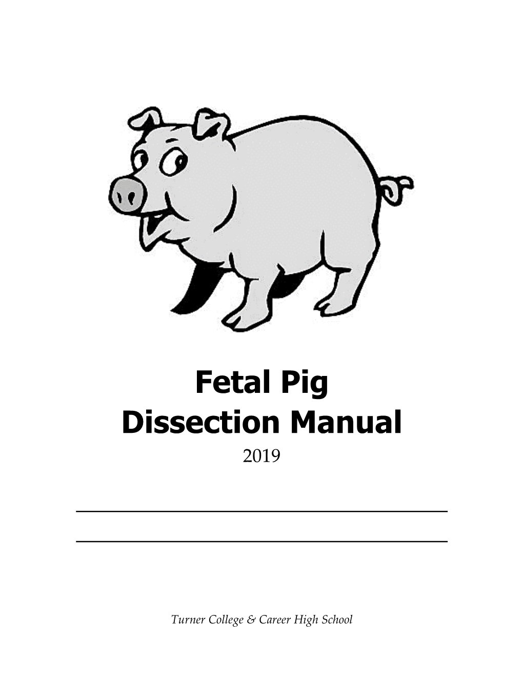 Fetal Pig Dissection Manual 2019