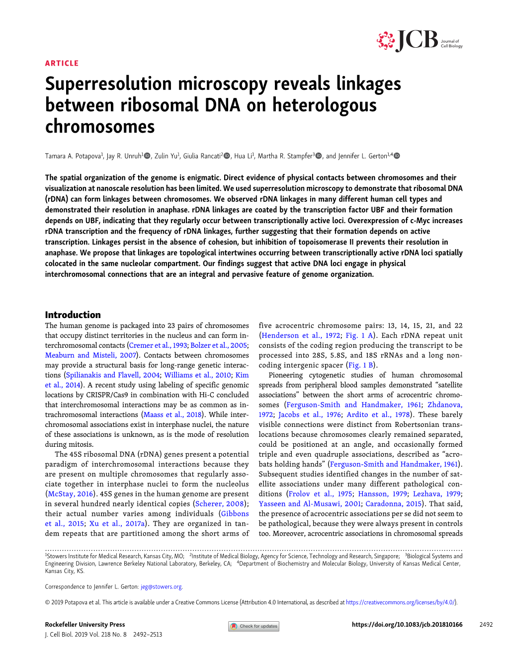 Superresolution Microscopy Reveals Linkages Between Ribosomal DNA on Heterologous Chromosomes