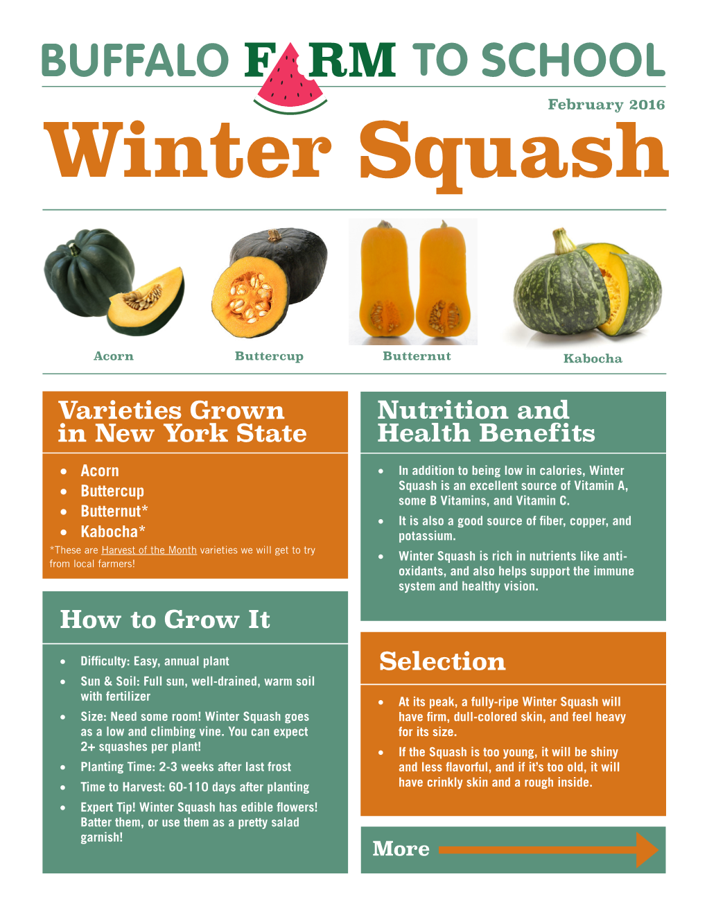 Squash Newsletter