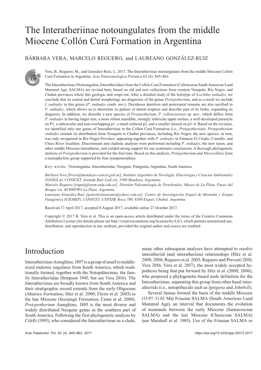 The Interatheriinae Notoungulates from the Middle Miocene Collón Curá Formation in Argentina