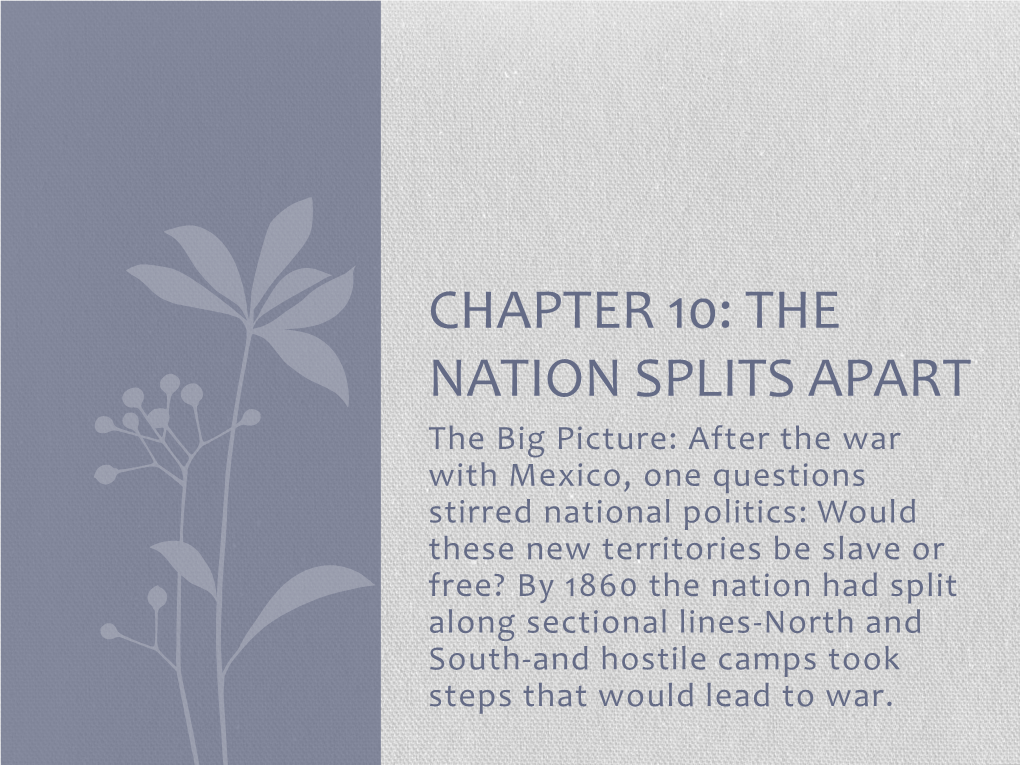 Chapter 10: the Nation Splits Apart
