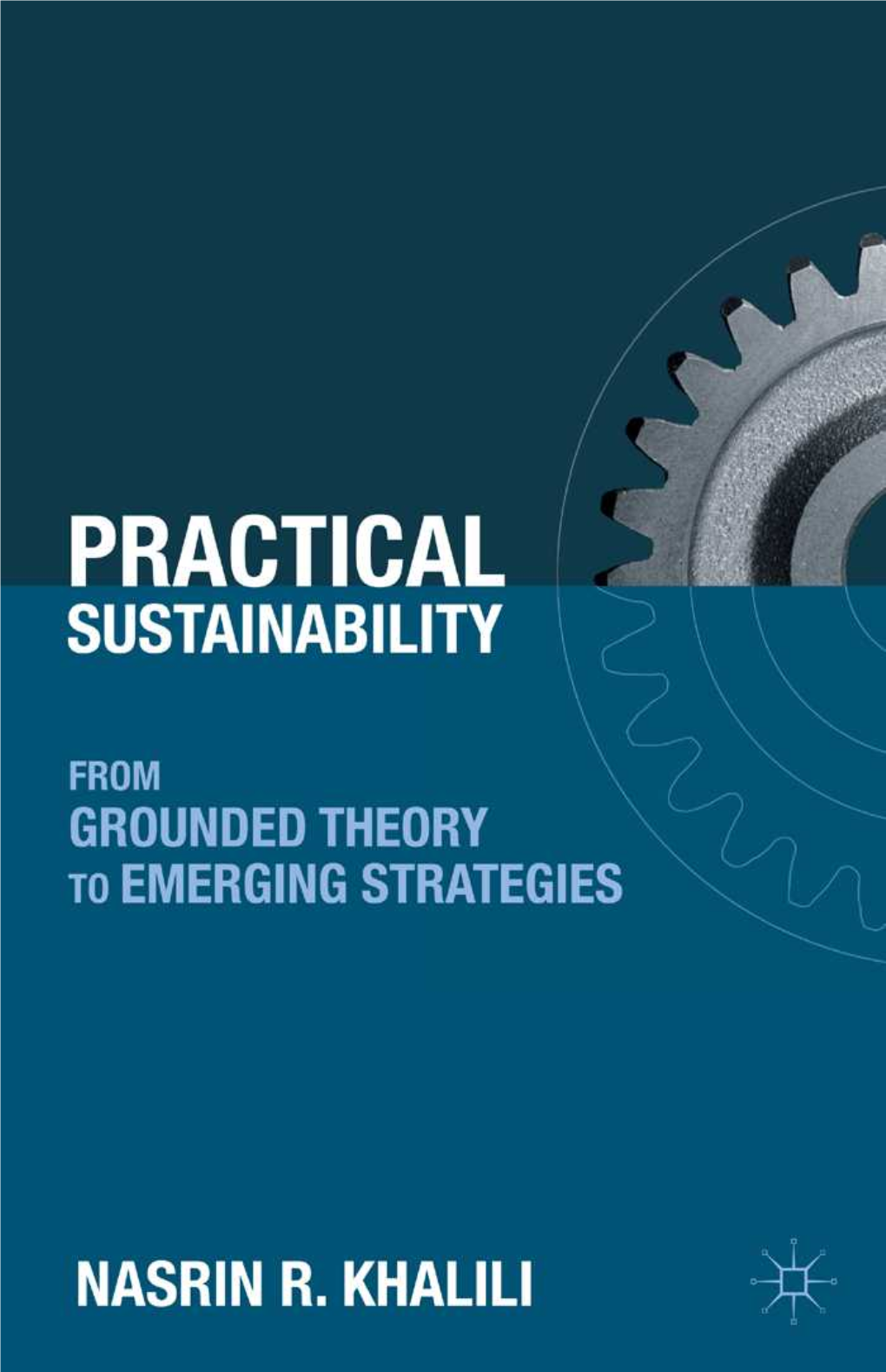 Practical Sustainability: from Grounded Theory to Emerging Strategies