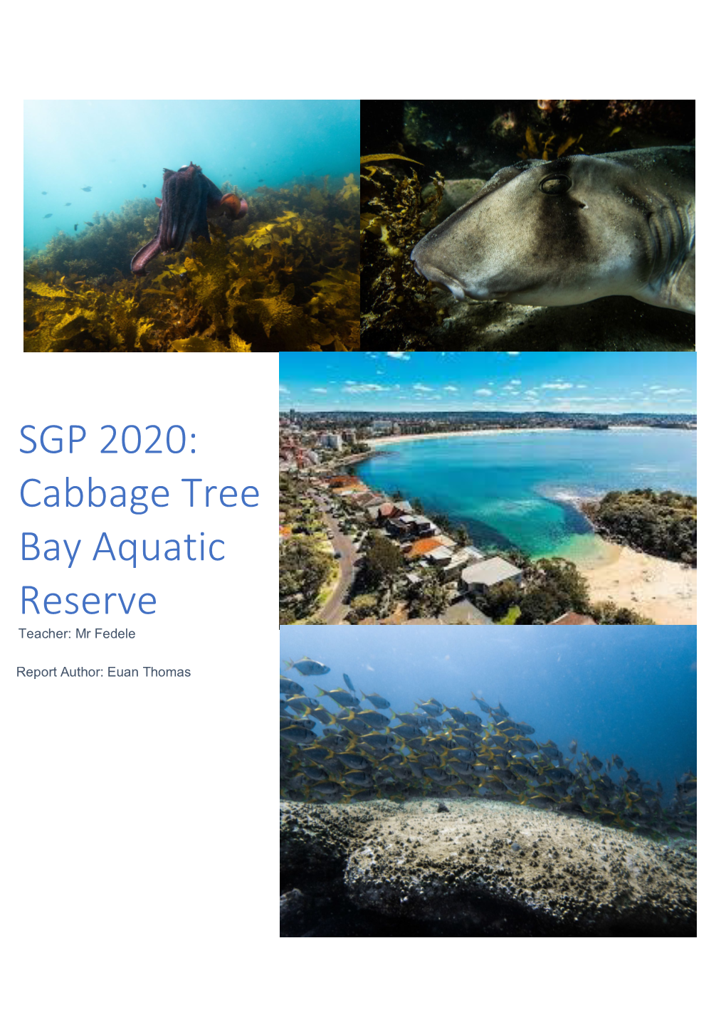 SGP 2020: Cabbage Tree Bay Aquatic Reserve Teacher: Mr Fedele