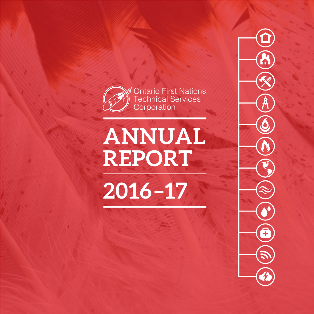 Annual Report 2016–17